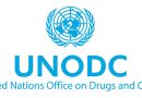 Afghan opiates supply 8 out of 10 opiate users worldwide, UNODC finds, as experts meet in Vienna to combat illicit trafficking
