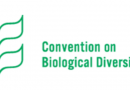 Biodiversity COP15, chaired by China,  Will Conclude in Montreal Dec. 5 to 17 with  Expected Approval of Landmark Global Agreement with  date, venue confirmed