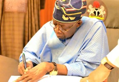 Backward integration on manufacturing investment: Result of Tinubu’s economic reforms- Group Backward integration on manufacturing investment: Result of Tinubu’s economic reforms- Group