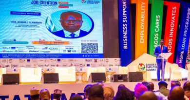 3RD LAGOS EMPLOYMENT SUMMIT: “We can create more jobs by using local resources,” says Olawande