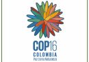 COP 16 OPENS IN CALI, COLOMBIA: World Takes Crucial Step to Make Peace with Nature