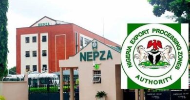 NEPZA Seeks 10-year Tax Relief for SEZs’ Investors