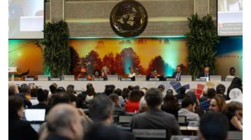 Seventh UN Environment Assembly commits to multilateral solutions for a more resilient planet Seventh UN Environment Assembly commits to multilateral solutions for a more resilient planet