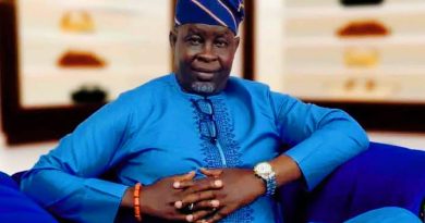 “Return Home, Invest in Abia: Safer, Business-Friendly Environment Awaits” TAN President, Chief Aruoma Tells Diaspora