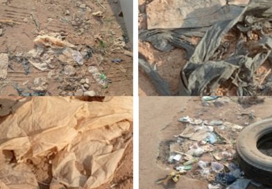 The Plastic Harvest: A Molecular Invasion of the Nigerian Table