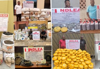NDLEA arrests Wanted drug kingpin 12 years after murder of 3 NDLEA officers, nabs ex-convict, female online vendor, others in Jigawa, Lagos, Ogun, Edo, Delta, Oyo, FCT, Enugu, Kwara raids