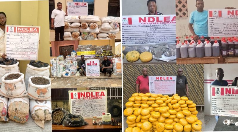 NDLEA arrests Wanted drug kingpin 12 years after murder of 3 NDLEA officers, nabs ex-convict, female online vendor, others in Jigawa, Lagos, Ogun, Edo, Delta, Oyo, FCT, Enugu, Kwara raids
