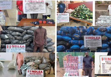 NDLEA Nabs China-Bound Drug Courier at Kano Airport, Uncovers Multi-State Drug Trafficking Network