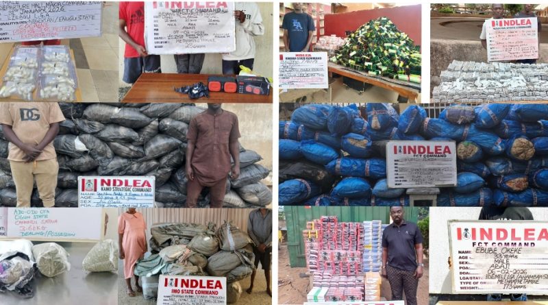 NDLEA Nabs China-Bound Drug Courier at Kano Airport, Uncovers Multi-State Drug Trafficking Network