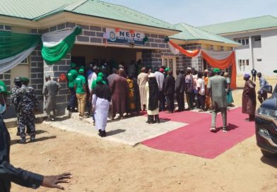 NEDC Project: FG Unveils Mega School, MRI Centre, Roads and Bridges in Adamawa