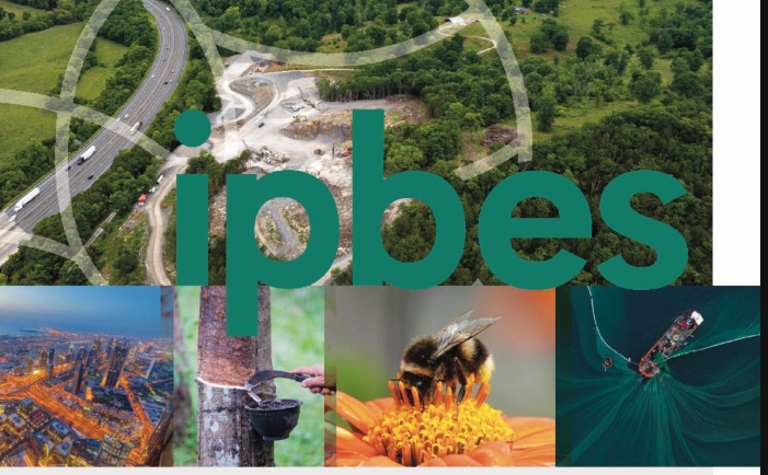 Businesses Face Extinction if They Don’t Lead Transformative Change, Warns IPBES Report 
