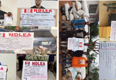 NDLEA Nabs China-Based Businessman, Two Angolans With 236 Cocaine Pellets at Abuja, Kano Airports; Foils Fresh Smuggling Attempts Nationwide
