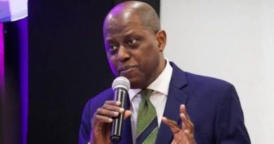 Cardoso Tasks Central Banks, DFIs on Driving Africa’s Sustainable Growth