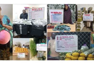 NDLEA busts woman with drugs in fake pregnancy as Ivorian excretes 82 cocaine wraps at Kano airport… Arrests others in Nation wide raids