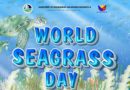 World Seagrass Day Shines a Light on a Hidden Climate Champion