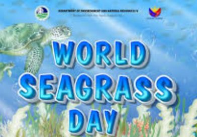 World Seagrass Day Shines a Light on a Hidden Climate Champion World Seagrass Day Shines a Light on a Hidden Climate Champion