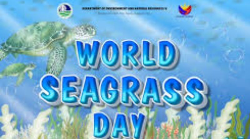 World Seagrass Day Shines a Light on a Hidden Climate Champion World Seagrass Day Shines a Light on a Hidden Climate Champion