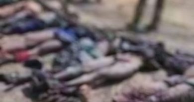 NAF Air Strikes Neutralise Terrorists in Malam Fatori Operation