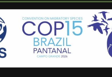 Governments to Gather in Brazil for Pivotal UN Wildlife Summit as Migratory Species Face Mounting Global Threats Governments to Gather in Brazil for Pivotal UN Wildlife Summit as Migratory Species Face Mounting Global Threats