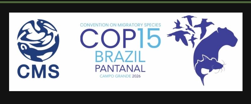 Governments to Gather in Brazil for Pivotal UN Wildlife Summit as Migratory Species Face Mounting Global Threats Governments to Gather in Brazil for Pivotal UN Wildlife Summit as Migratory Species Face Mounting Global Threats