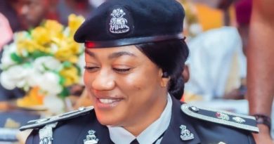 Merit Over Tribe? Police Officer Praises IGP Disu’s Postings As Signal Of Professional Policing