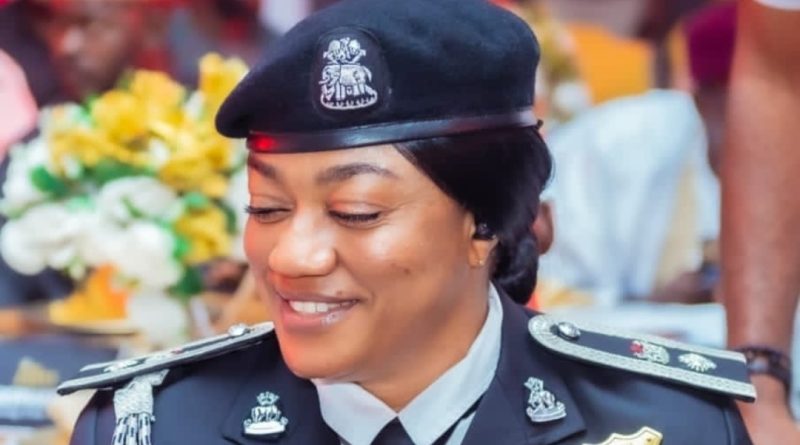 Merit Over Tribe? Police Officer Praises IGP Disu’s Postings As Signal Of Professional Policing Merit Over Tribe? Police Officer Praises IGP Disu’s Postings As Signal Of Professional Policing