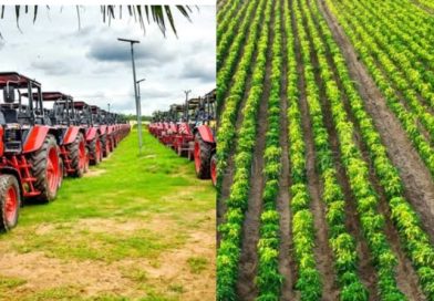 The “Renewed Hope” agricultural initiatives. The “Renewed Hope” agricultural initiatives.