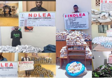 NDLEA Seizes opioids, meth in carton walls, winter jackets, cream at Lagos airport … Recovers large consignments of illicit drugs across the country NDLEA Seizes opioids, meth in carton walls, winter jackets, cream at Lagos airport … Recovers large consignments of illicit drugs across the country