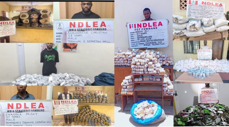 NDLEA Seizes opioids, meth in carton walls, winter jackets, cream at Lagos airport … Recovers large consignments of illicit drugs across the country NDLEA Seizes opioids, meth in carton walls, winter jackets, cream at Lagos airport … Recovers large consignments of illicit drugs across the country