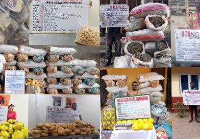 NDLEA Uncovers large cocaine consignment concealed in heads of dry stock fish . Recovers fentanyl, methamphetamine, morphine sulphate in UK-bound automobile parts shipments, others