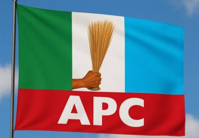 THE MEAT OF THEIR MEAL Momodu, Fani-Kayode, Omokri—and the Quiet Capture of Choice THE MEAT OF THEIR MEAL Momodu, Fani-Kayode, Omokri—and the Quiet Capture of Choice