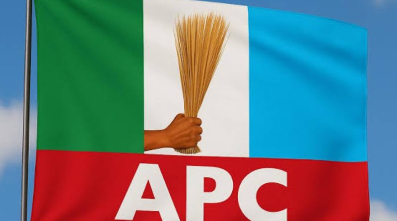 THE MEAT OF THEIR MEAL Momodu, Fani-Kayode, Omokri—and the Quiet Capture of Choice THE MEAT OF THEIR MEAL Momodu, Fani-Kayode, Omokri—and the Quiet Capture of Choice