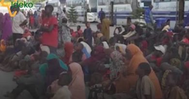 FG Evacuates 1,230 Stranded Nigerians from Niger, Reaffirms Commitment to Citizens Abroad