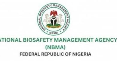 NBMA Halts Registration of New GM Cotton Varieties Over Regulatory Breaches