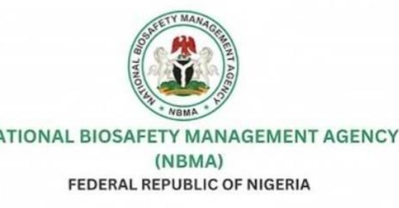 NBMA Halts Registration of New GM Cotton Varieties Over Regulatory Breaches