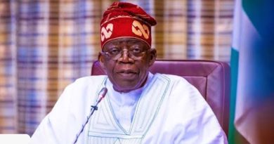 Press Freedom Groups Fault Shettima’s Remarks, Urge Tinubu to Tackle Attacks on Journalists