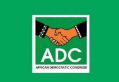 ADC Criticism Misplaced as Tinubu’s Renewed Hope Agenda Reforms Deliver Results — TDF