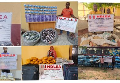 NDLEA Busts Major Drug Networks Nationwide, Arrests 93-Year-Old Suspect and Medical Doctor