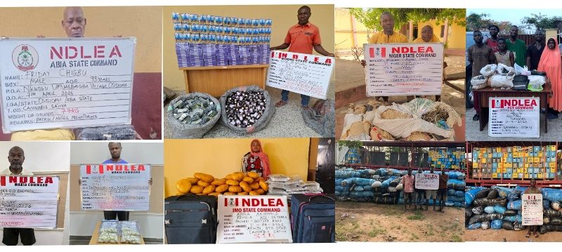 NDLEA Busts Major Drug Networks Nationwide, Arrests 93-Year-Old Suspect and Medical Doctor