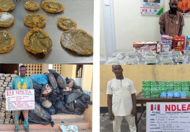 NDLEA Intercepts Cocaine Hidden in Food Flasks, Arrests Fashion Designer, Others in Nationwide Crackdown