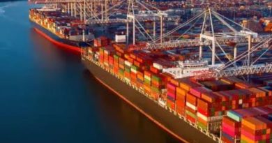 FG’s Slashed Import Tariffs to Cushion Gulf Crisis Impact – TMSG