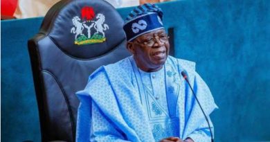 Nigeria’s Blue Economy Records Major Gains Under Tinubu — TMV