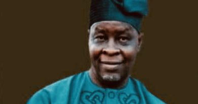 National Small Business Day: TAN Abia Boss, Aruoma Highlights Importance of SMEs to Economy