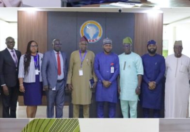 NERC, NEMSA Deepen Collaboration to Boost Power Sector Safety, Efficiency