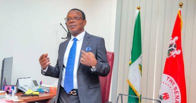 IMO NORTH SENATE SEAT:THE DIRE IMPERATIVE FOR CONTINUITY BY SENATOR(ENGR)PATRICK NDUBUEZE FOR THE ELEVENTH SENATE