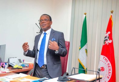 IMO NORTH SENATE SEAT:THE DIRE IMPERATIVE FOR CONTINUITY BY SENATOR(ENGR)PATRICK NDUBUEZE FOR THE ELEVENTH SENATE