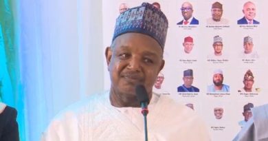 Bagudu Highlights Path to $1tn Economy as Uzodimma Says Nigeria Shifting from Crisis to Confidence