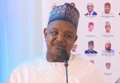 Bagudu Highlights Path to $1tn Economy as Uzodimma Says Nigeria Shifting from Crisis to Confidence