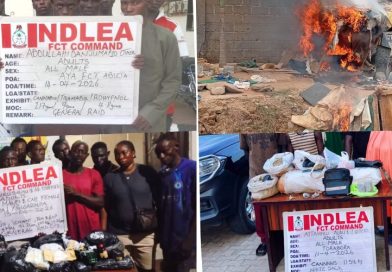 NDLEA Dismantles Abuja Drug Bunks, Arrests 132 Suspects, Seizes 220kg of Illicit Substances