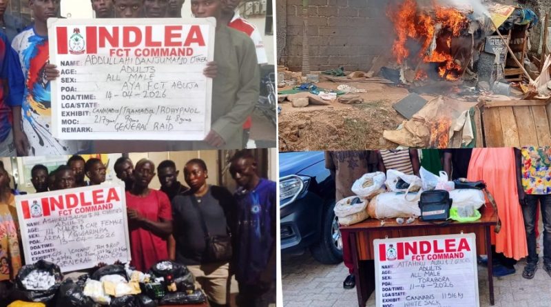 NDLEA Dismantles Abuja Drug Bunks, Arrests 132 Suspects, Seizes 220kg of Illicit Substances